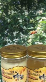 图 帮老爸卖正宗 纯天然蜂蜜和勤劳的蜜蜂 深圳食品